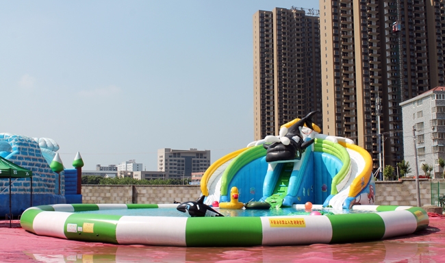Hebei Chengde Inflatable Water Park Customer Case 第2张